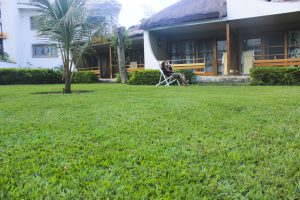 img_0553-t