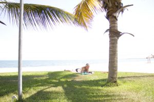 img_8689_1-t