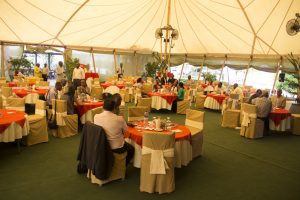 img_8844-t