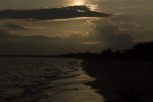 lac-plage-t